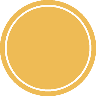 Blank marker used to cover a Jieqi piece